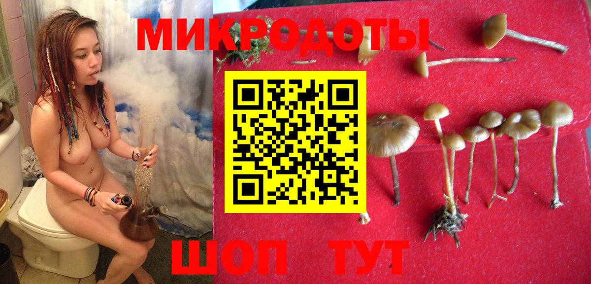 Галлюциногенные грибы прущие грибы Реутов