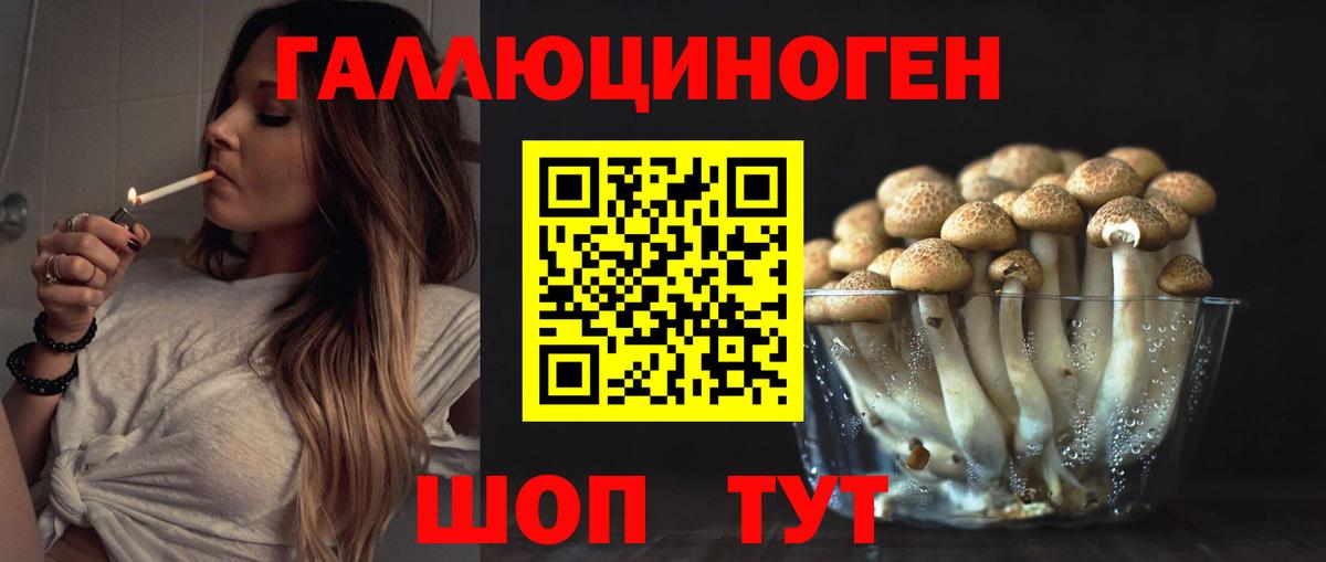 Реутов  Галлюциногенные грибы мухоморы  Вход с VPN  Псилоцибиновые грибы Psilocybine cubensis 